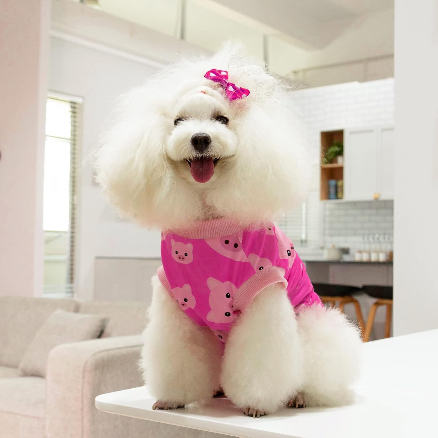 CuteBone Traje de recuperación de cirugía para perros, mono quirúrgico para gatos, trajes de cuerpo femenino, para evitar que las mascotas laman