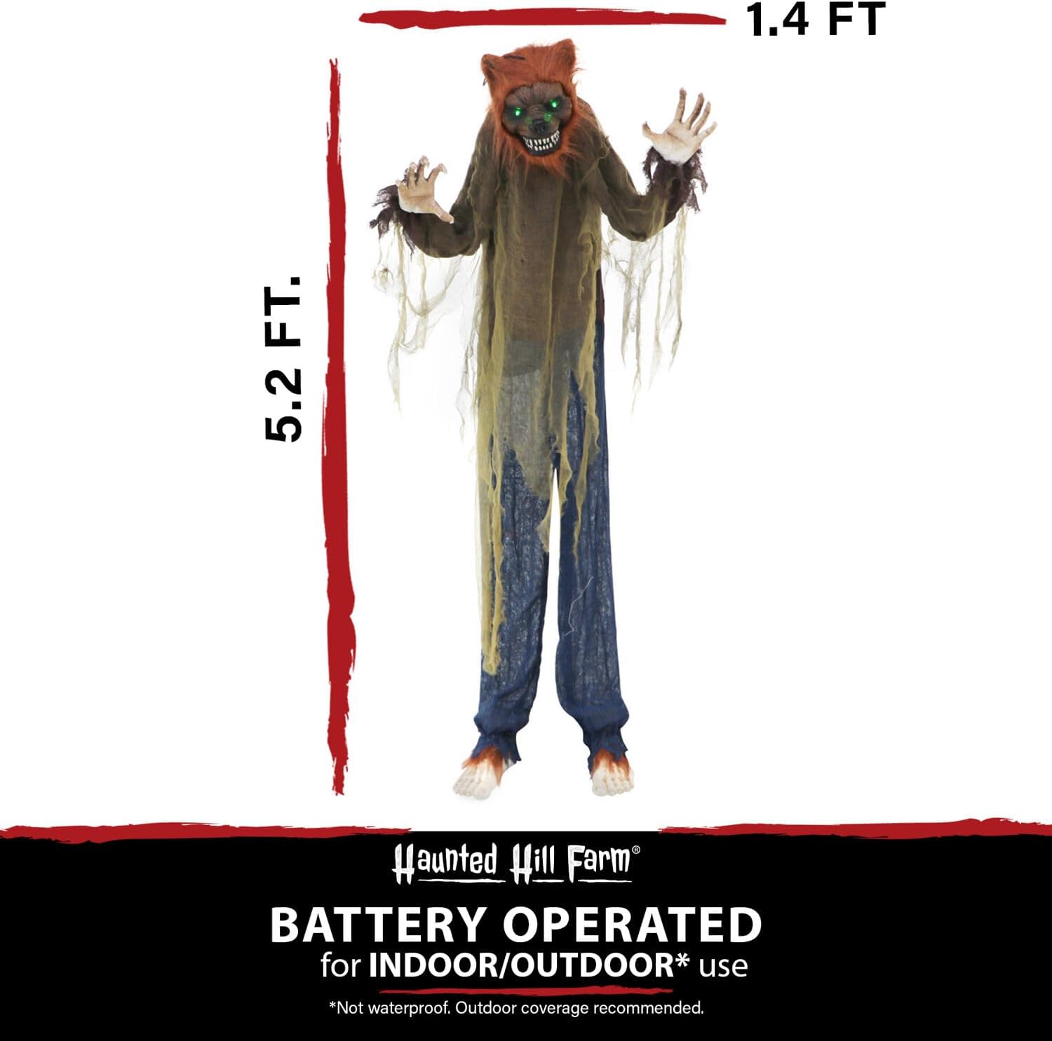 Haunted Hill Farm Hombre lobo animatrónico de tamaño real con luces activadas al tacto y sonido, posable, funciona con pilas para interiores o