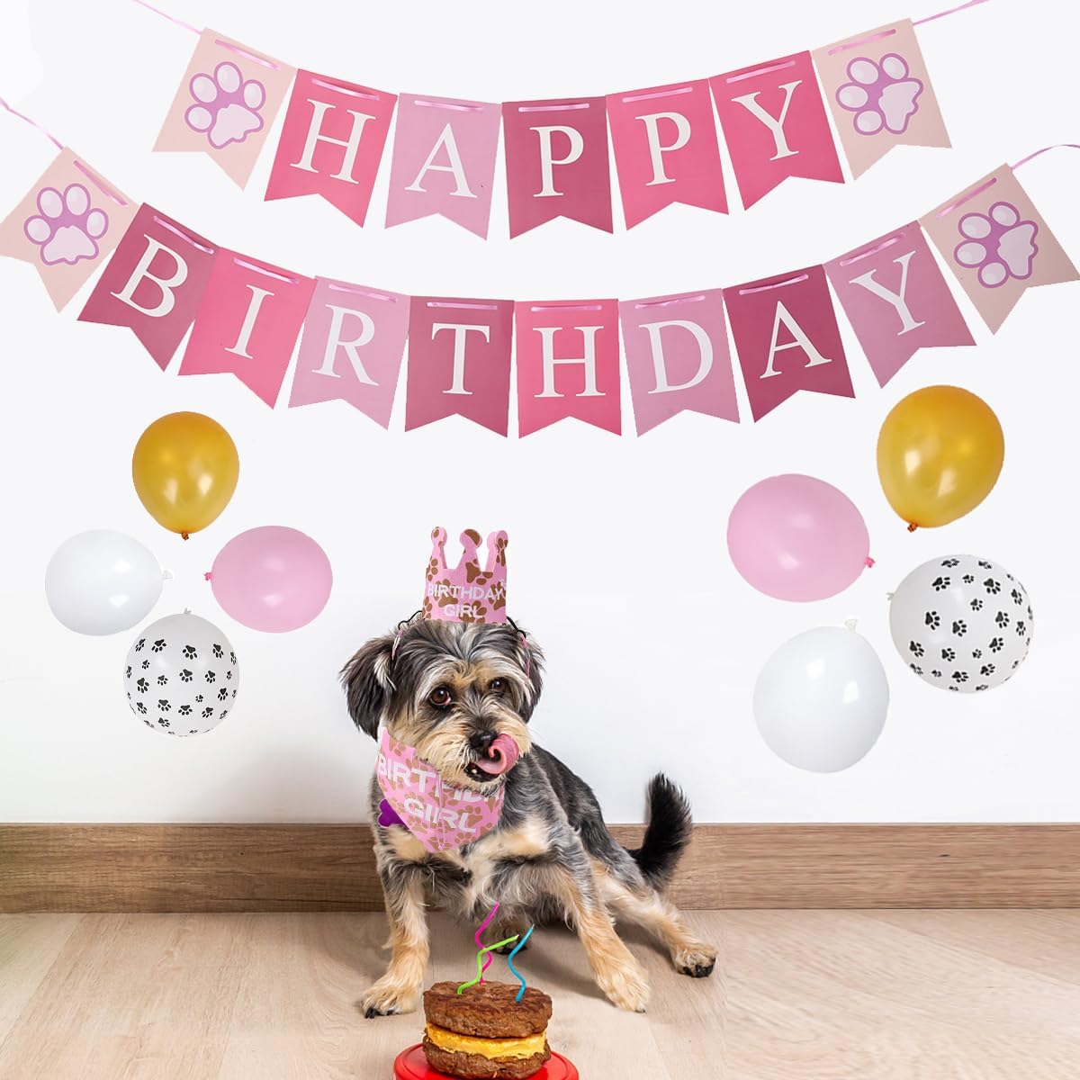 Duuclume Suministros para fiesta de cumpleaños de perros para niños y niñas, bufanda triangular con corona de cumpleaños para perros para todas las