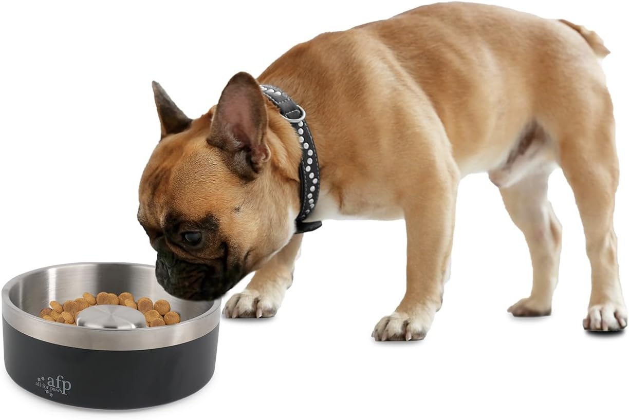 ALL FOR PAWS Tazón de acero inoxidable de alimentación lenta para perros y gatos, antideslizante, resistente, comedero de agua para perros y gatos