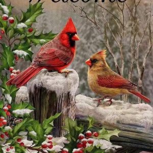 Kits de pintura de diamantes de Navidad para adultos, kits de arte de diamantes para niños, principiantes, bricolaje 5D, diamantes de imitación de Kits de pintura de diamantes de Navidad para adultos, kits de arte de diamantes para niños, principiantes, bricolaje 5D, diamantes de imitación de