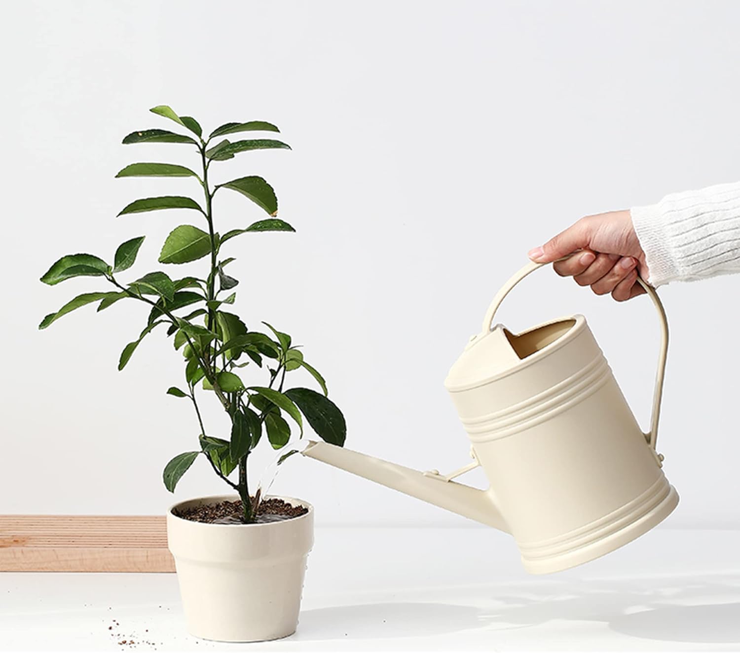 Medidor de humedad del suelo para plantas de interior, pequeña regadera para plantas de interior