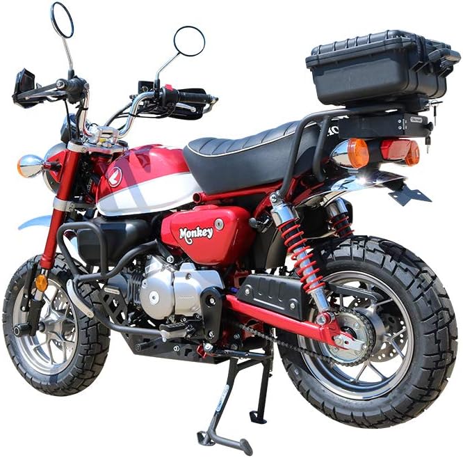 T-Rex Racing Eliminador de guardabarros para Honda 2019-2021 Monkey