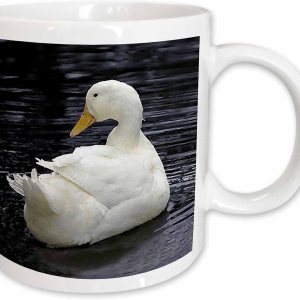 3dRose mug_4232_1 – Taza de cerámica de pato Pekin blanco, 11 onzas 3dRose mug_4232_1 – Taza de cerámica de pato Pekin blanco, 11 onzas