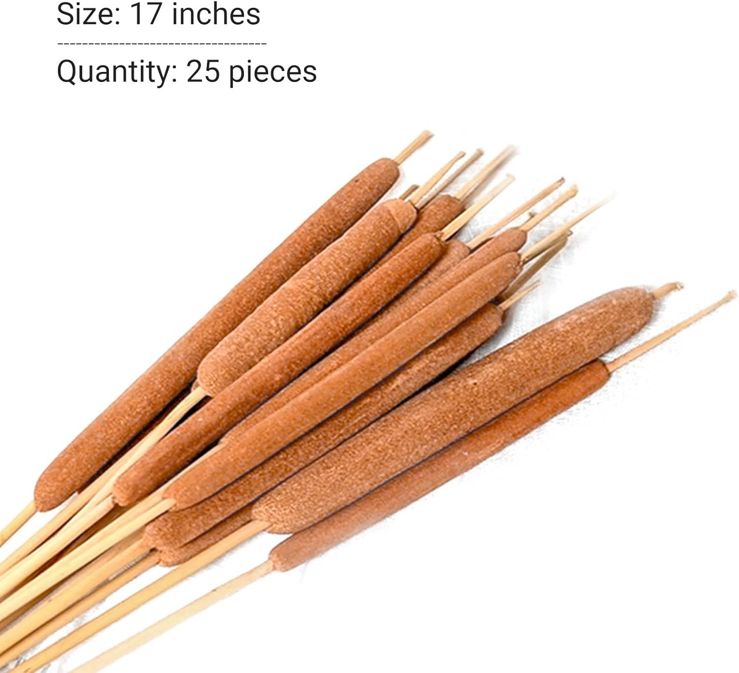 Colas naturales secas  25 piezas para arreglos florales rurales y decoración de oficina en casa  17 pulgadas (25 piezas)