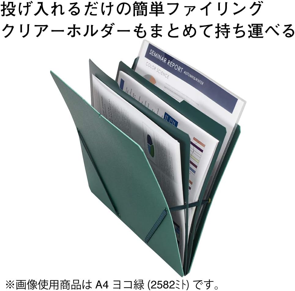 King Jim 2572 Cure Document File, Sandit, A4 Vertical, Gray (2572)