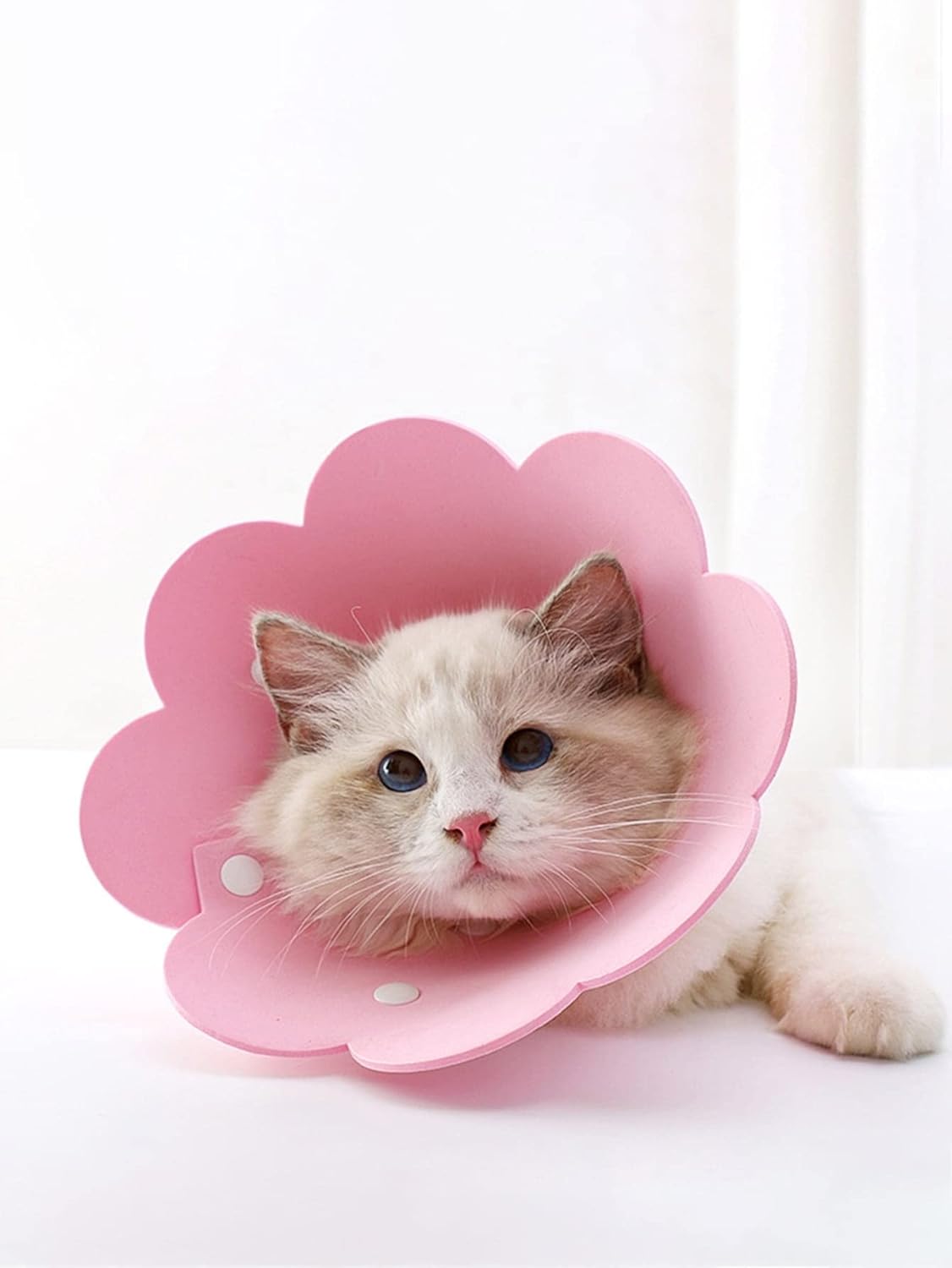 QWINEE Collar de cono de gato con forma de flor, ajustable, ligero, suave, collar de recuperación para cachorros, gatitos, perros pequeños, gatos