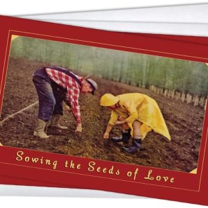 Wright Home & Gift Seeds of Life – Tarjetas de felicitación de aniversario, juego de 2 unidades + 2 sobres (5 x 7) Wright Home & Gift Seeds of Life – Tarjetas de felicitación de aniversario, juego de 2 unidades + 2 sobres (5 x 7)
