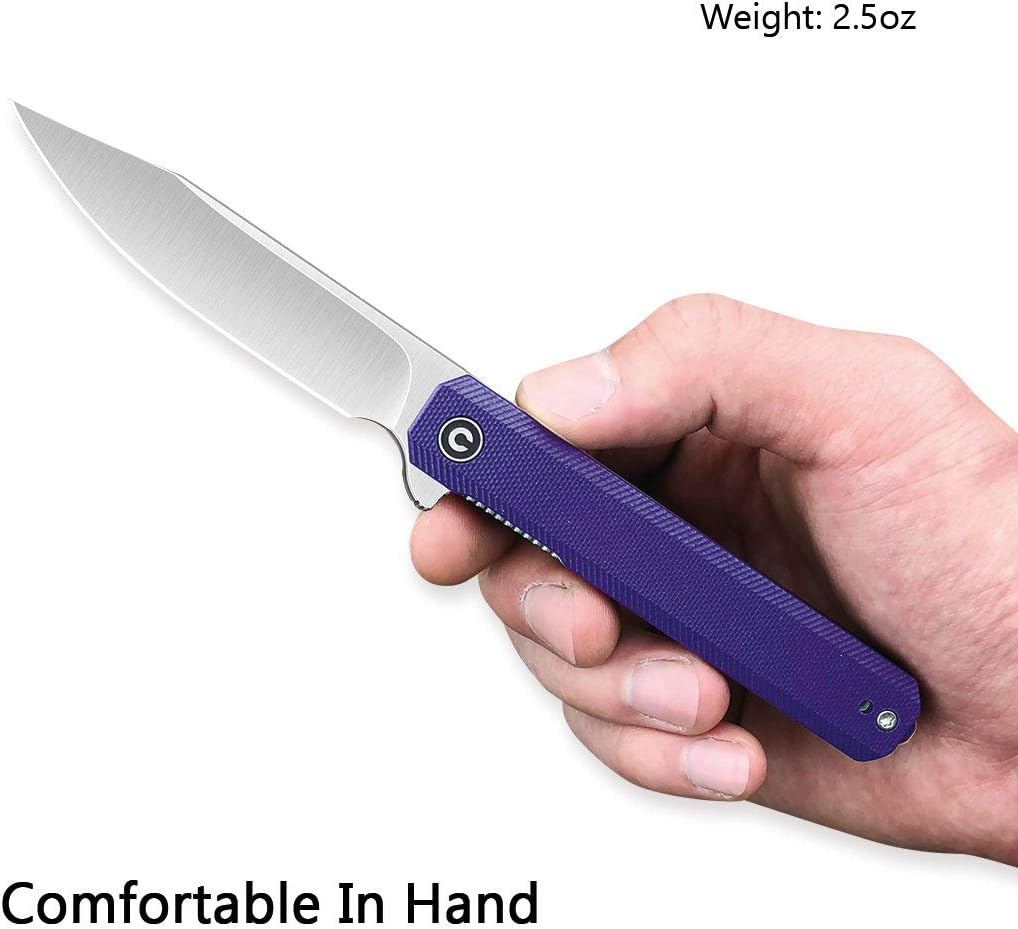 CIVIVI Chronic – Cuchillo de bolsillo plegable, cuchillo de caza de supervivencia al aire libre con hoja 9Cr18MoV de 3.22 pulgadas, mango G10,