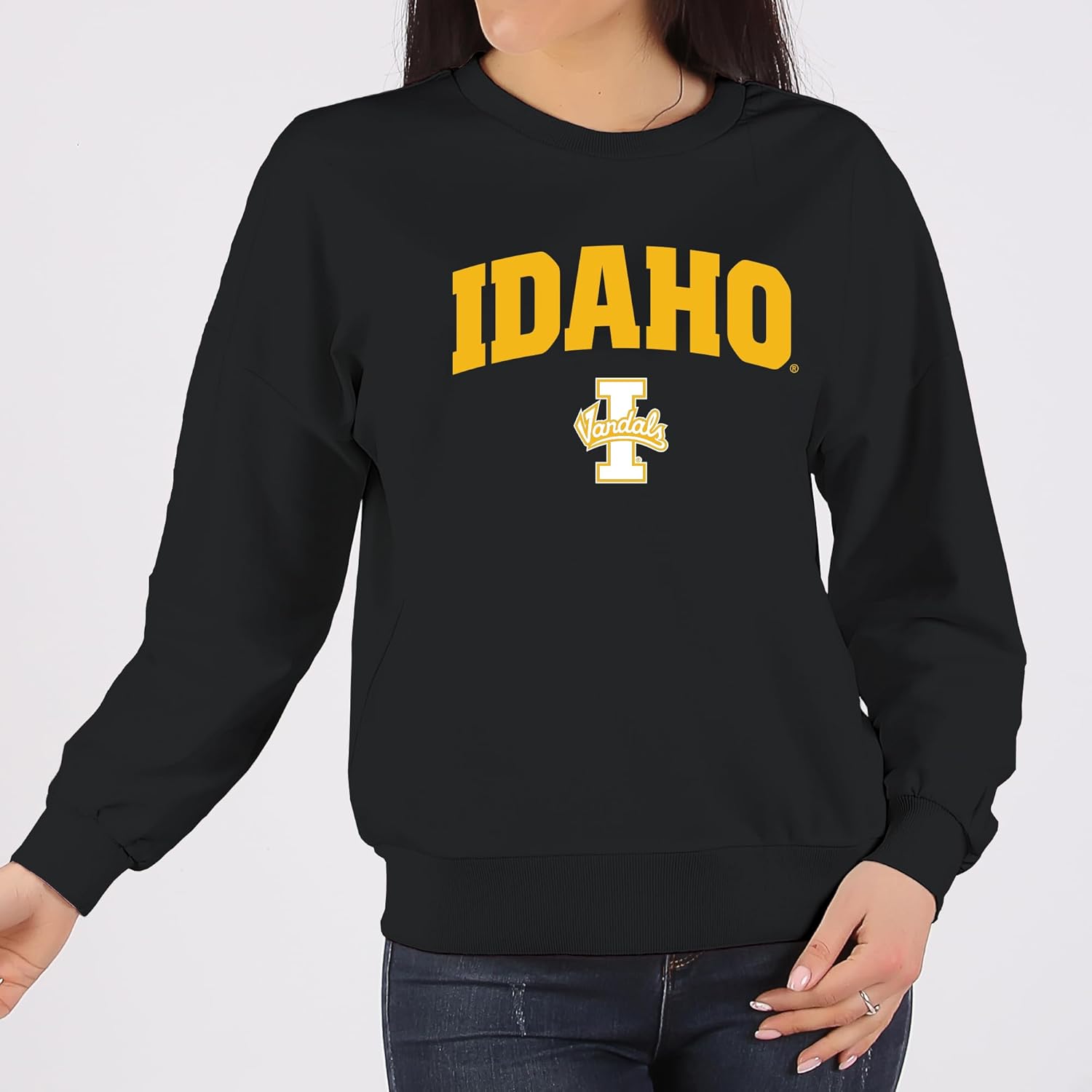 UGP Campus Apparel AW03 – Sudadera de cuello redondo con logotipo de Idaho Vandals Arch – Grande – Negro, Negro –