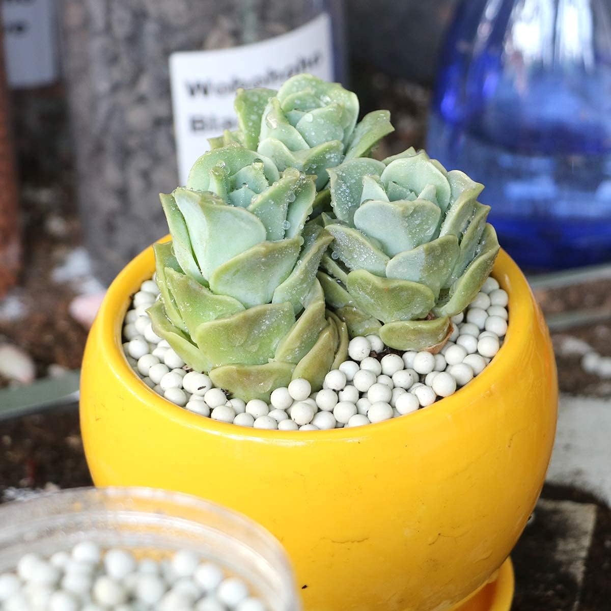 wohohoho – Mini guijarros de arcilla hidropónica blanca de 2.2 libras, bolas de cerámica hidráulica mejoradas de 0.118 a 0.18 pulgadas, rocas