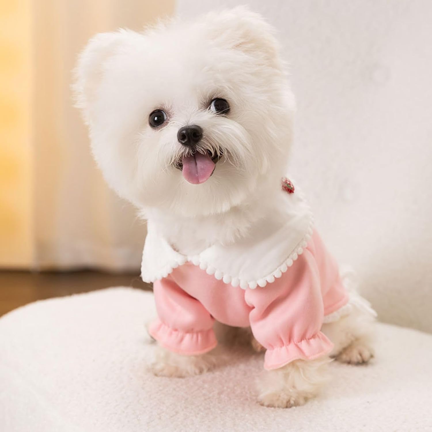 Suéter cálido para perros y mascotas, vestido para invierno, lindo abrigo para perros pequeños y medianos, Navidad, suave, para cachorros, para