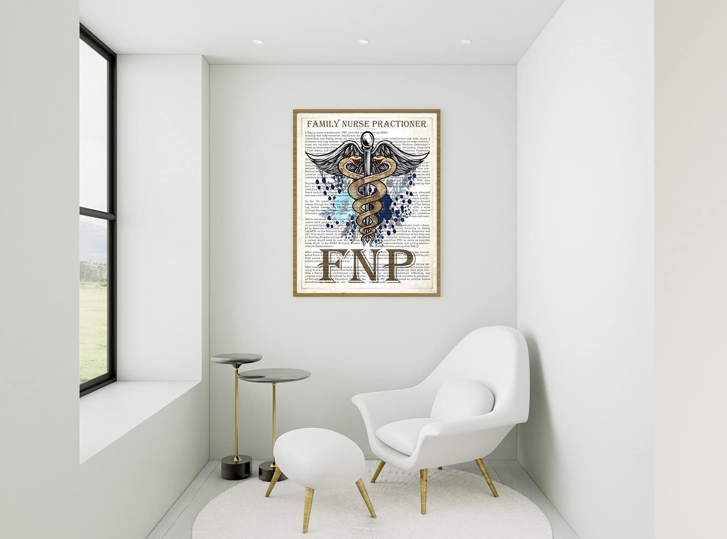 Family Nurse Practitioner Gift, FNP Gift, Nurse Present, Nursing School Graduation Gift Idea, Medical School, FNP Office Decor, Wall Art