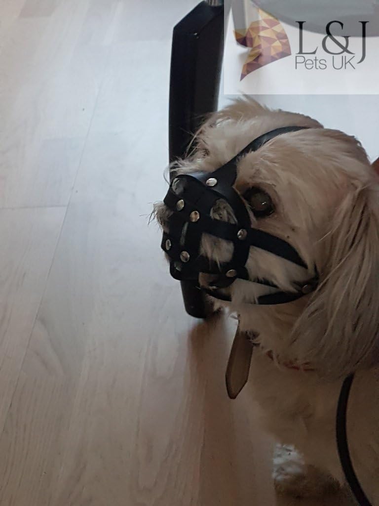 L&J Pets Uk Bozal para perro Shih Tzu, Pug y otros perros de hocico corto de cara plana (cuero marrón, MA 1)
