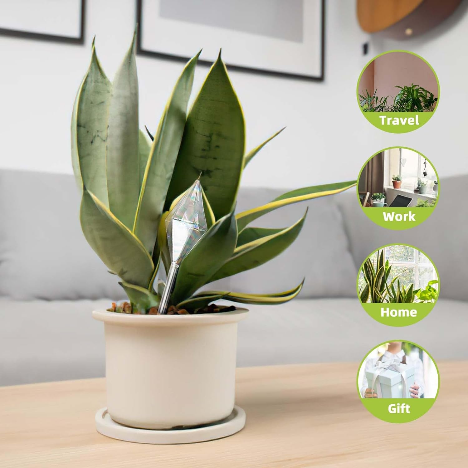 Orunpe 2 globos de riego de plantas, dispositivos de riego de plantas de vidrio, inserto de maceta de riego automático para accesorios de plantas de