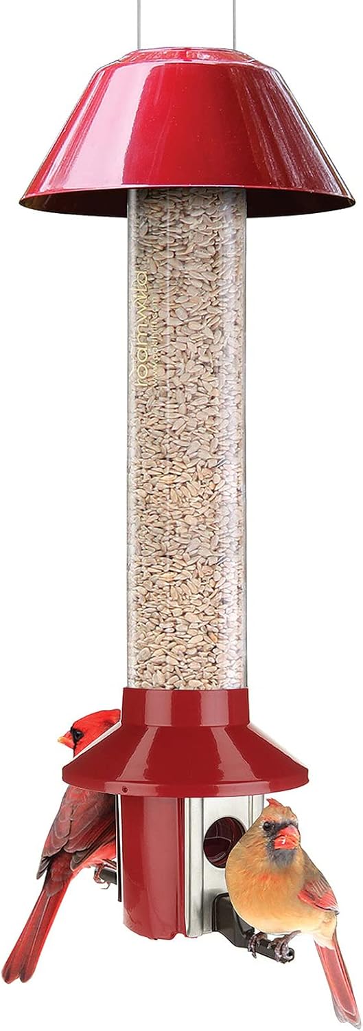 Roamwild PestOff – Comedero cardenal rojo a prueba de ardillas para pájaros, versión de corazón de girasol, semillas mixtas, color rojo, capacidad