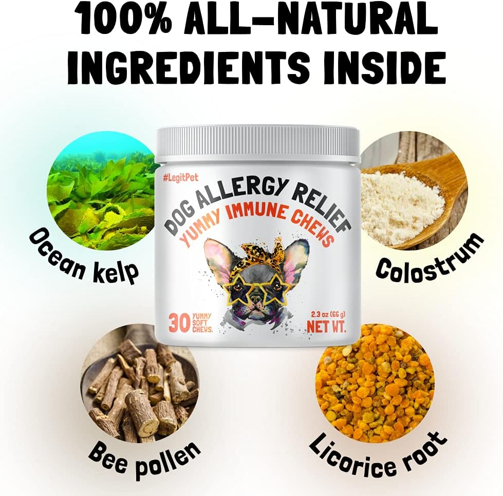 Masticables para aliviar la alergia para perros y suplemento inmunológico y digestivo con aceite de salmón silvestre, calostro, cúrcuma, probióticos