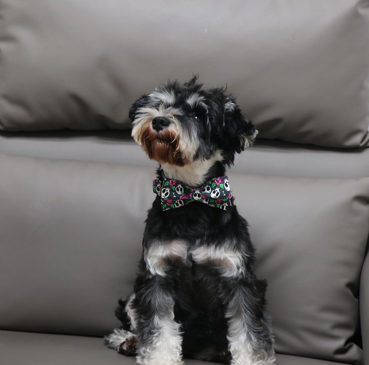 DOGWONG Collar de perro fantasma de Halloween con corbatín, collar de perro de calavera rosa para Halloween, duradero y suave, collar de perro para
