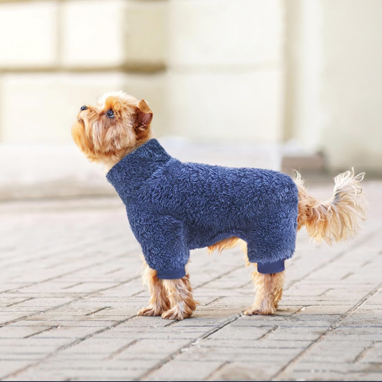 Idepet Pijama de terciopelo para perro, suéter de cuello alto para perro, mameluco de felpa suave para gatos, ropa para mascotas, traje de invierno,