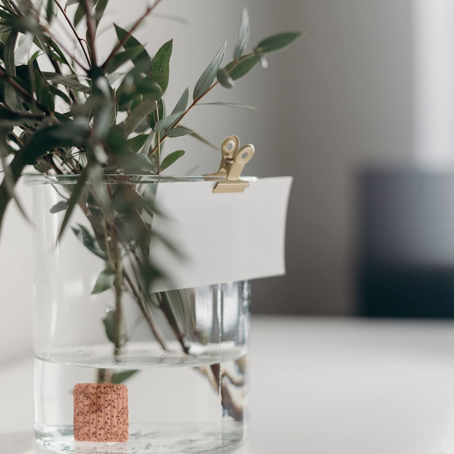TEHAUX Soporte para plantas de acuario, soporte para plantas de acuario, anillo de gravedad, pesos de plantas de acuario, decoración botánica,