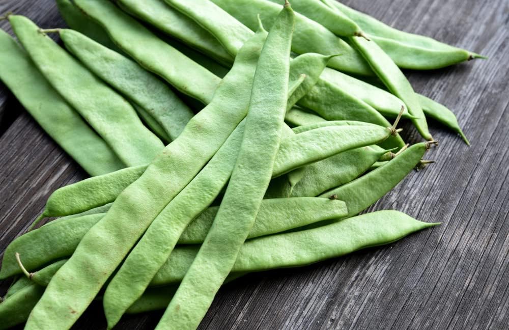 Semillas de frijol italiano Roma II para plantar, más de 30 semillas de reliquia por paquete, semillas de jardín de Isla (semillas de jardín de