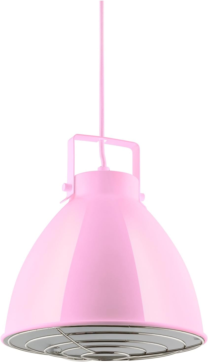 Sunlite 88753 Zed – Lámpara colgante decorativa de 10 pulgadas, base media (E26), bombilla máxima de 60 W (no incluida), cable de longitud ajustable