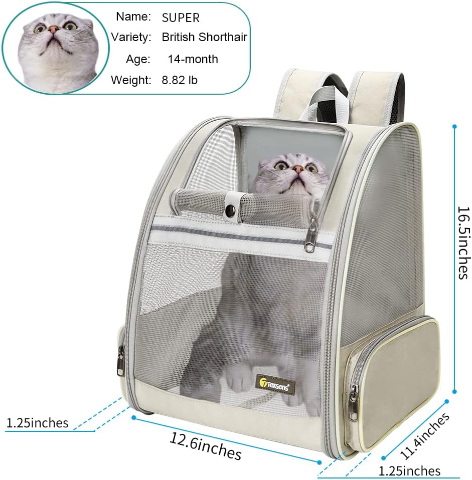 Texsens Mochila transportadora para mascotas para gatos pequeños y perros, diseño ventilado, correas de seguridad, soporte de hebilla, plegable,