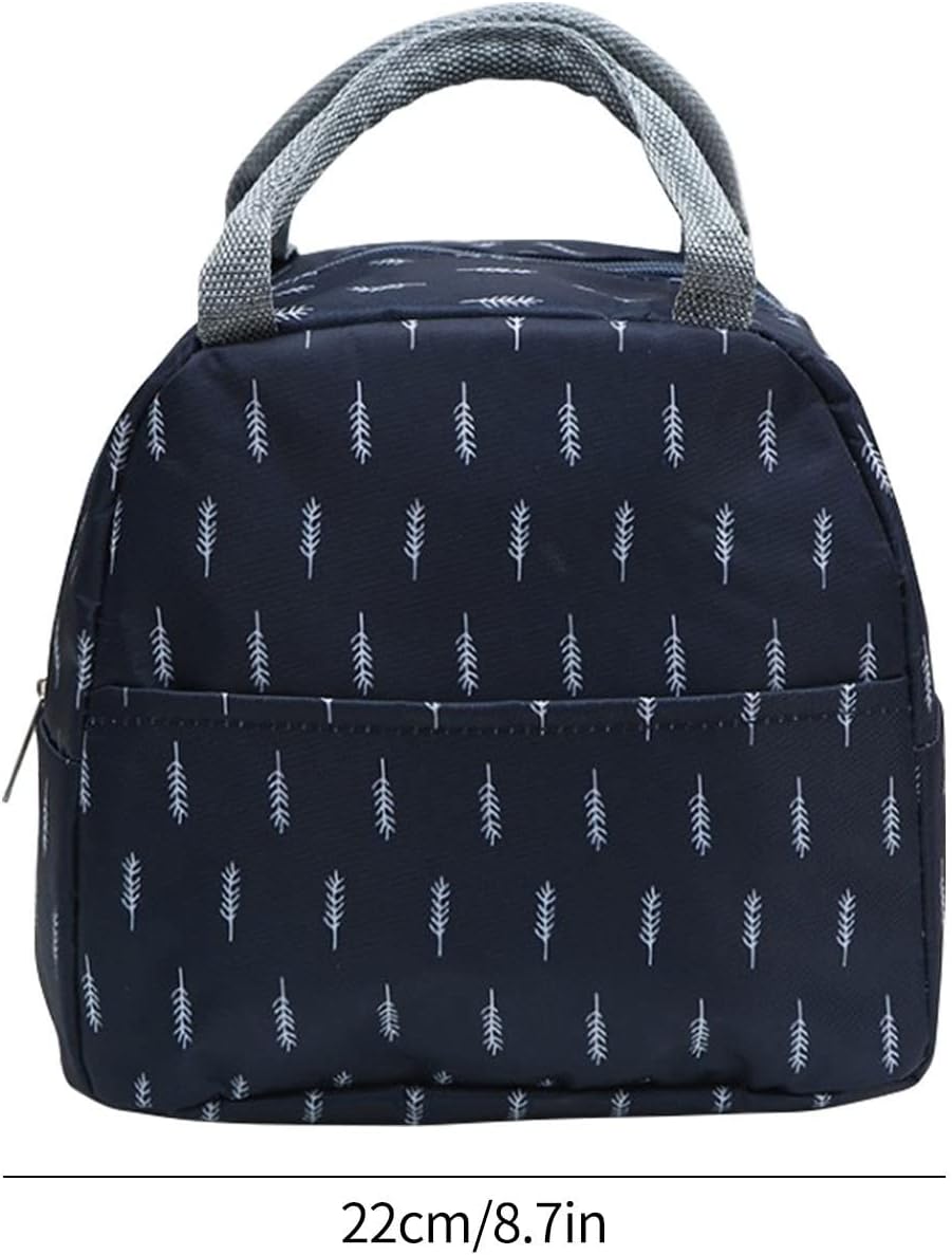 Lonchera portátil catiónica para almuerzo con aislamiento térmico, bolsa de aislamiento térmico, bolsa de aislamiento térmico, bolsa de aislamiento