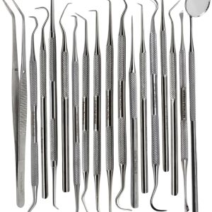 Herramientas dentales multifuncionales, 17 piezas, removedor de placa, juego de limpieza de dientes, kit de higiene bucal con limpiador de placa de Herramientas dentales multifuncionales, 17 piezas, removedor de placa, juego de limpieza de dientes, kit de higiene bucal con limpiador de placa de