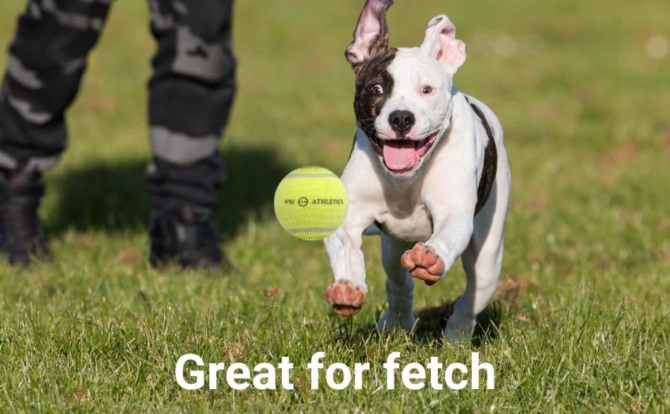 Pelota de tenis que brilla en la oscuridad, pelota de tenis iluminada para perros de tamaño pequeño, paquete de 3