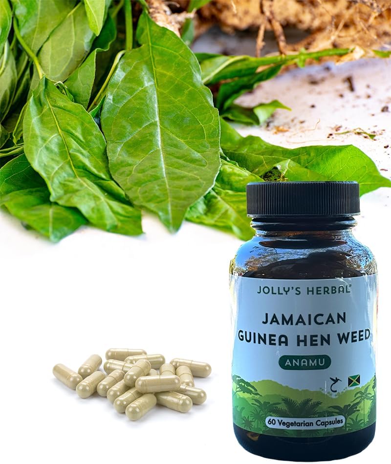 Jolly’s Herbal Hierba de gallina de Guinea Jamaicana, hierba Anamu, 100% cosechada silvestre, 60 cápsulas vegetales (paquete de 1)
