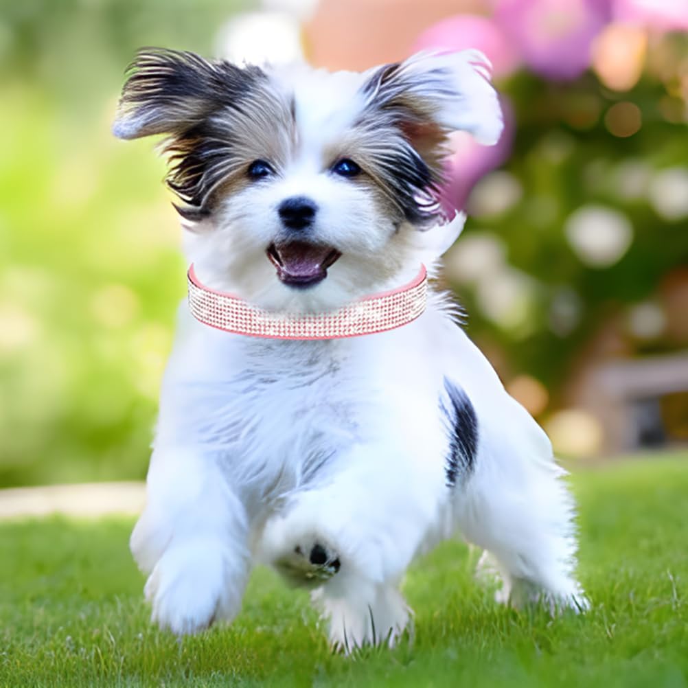 Lindo collar para perro con diamantes de imitación brillantes, elegante collar de cristal con purpurina bonita joya suave para gatos de raza