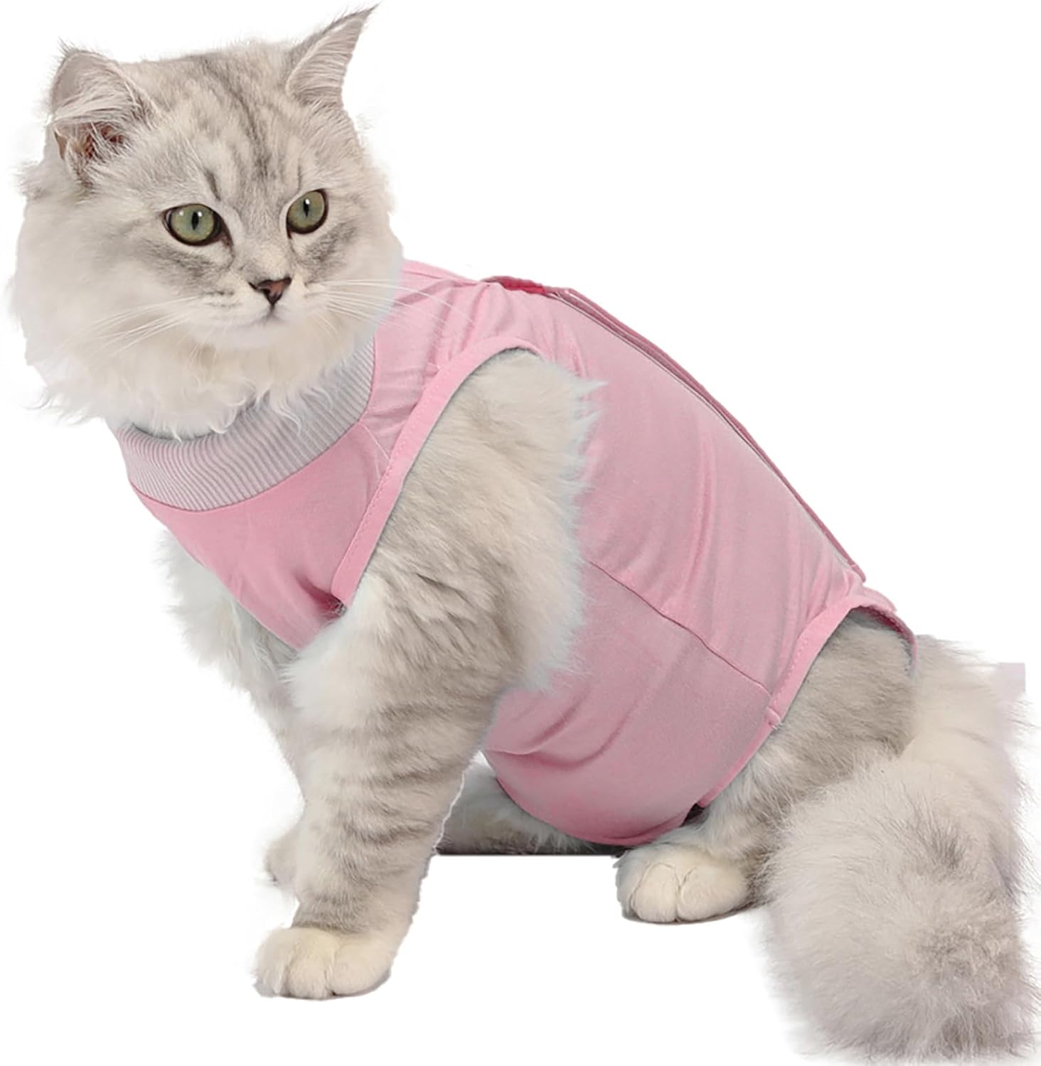 Traje de cirugía para gatos, traje quirúrgico de recuperación profesional para heridas abdominales o enfermedades de la piel, alternativa de collar