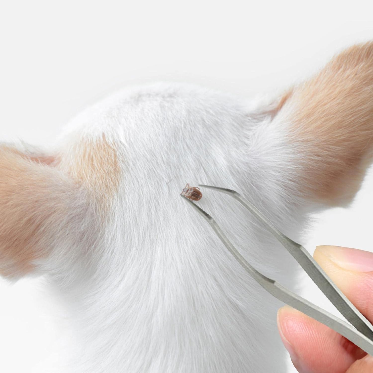 Herramienta de eliminación de garrapatas 2 en 1 para mascotas, pinzas profesionales de garrapatas de acero inoxidable para perros, gatos y seres