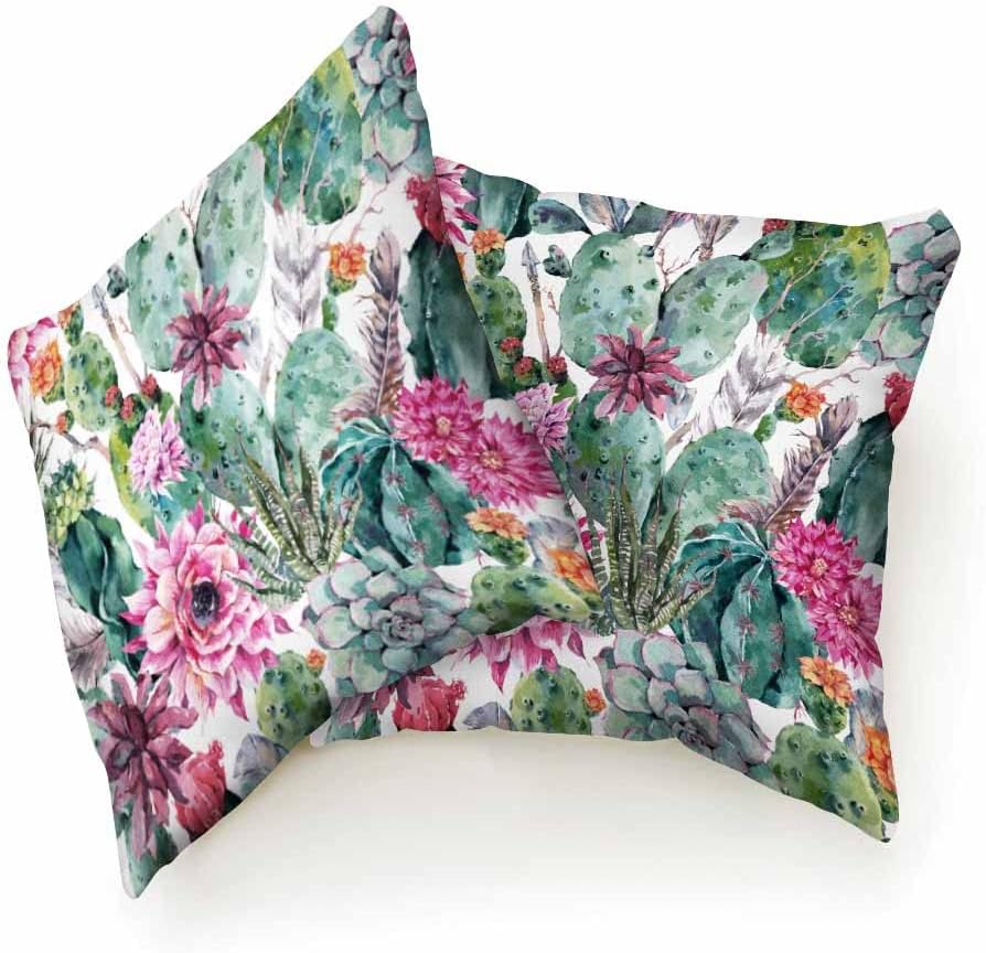Beabes Fundas de almohada bohemias en acuarela, cactus, flores, ramitas, plumas, flechas, hojas verdes, fundas de almohada decorativas, 2 juegos