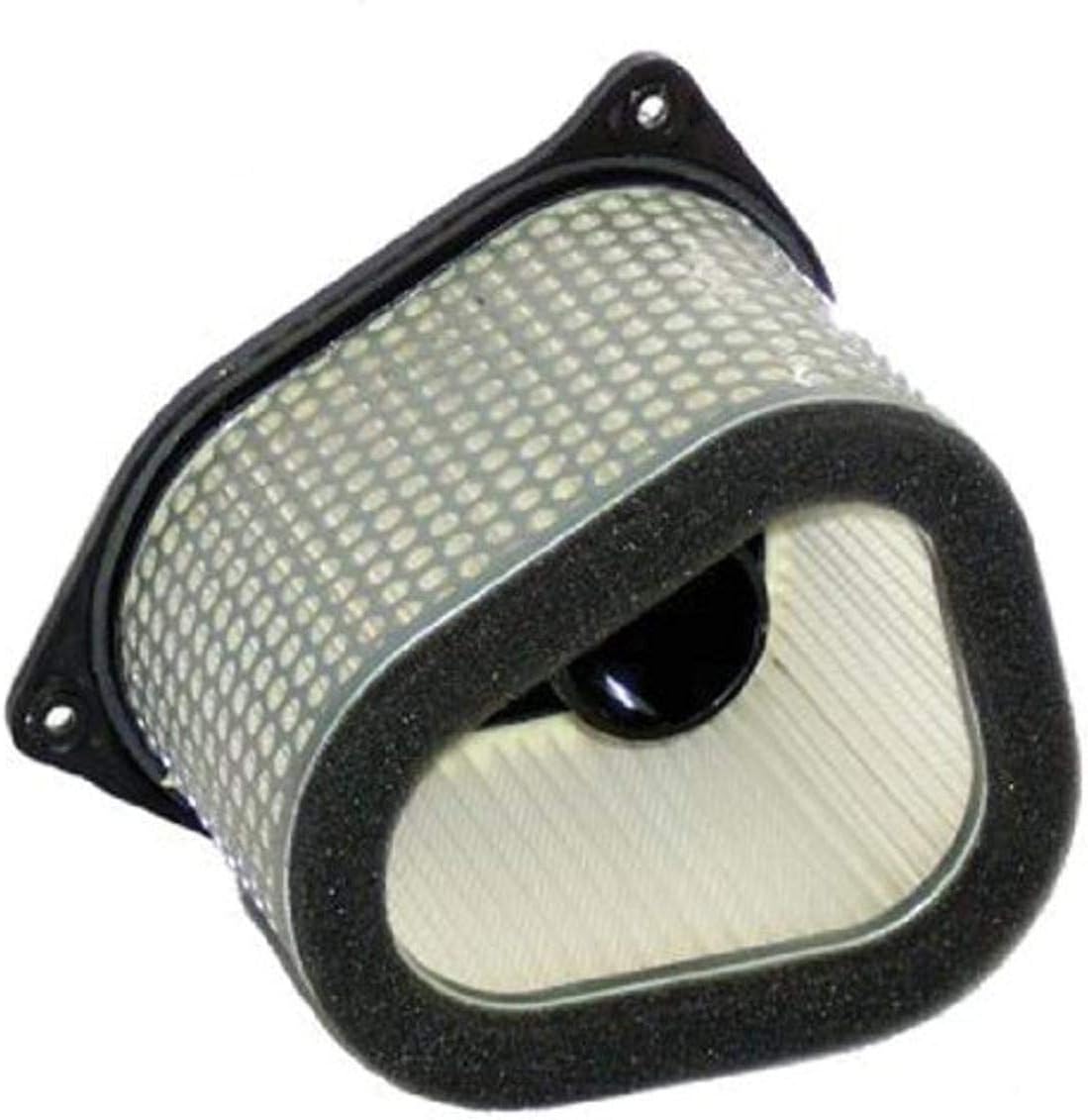Hiflofiltro HFA3906 Premium OE Filtro de aire de repuesto, Regular