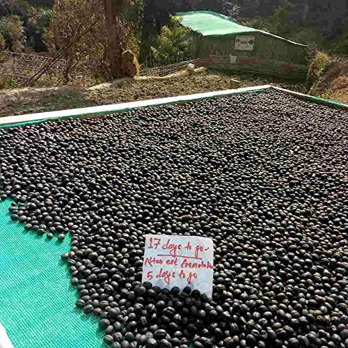 Auténtico pepinillo de pimienta nepalí nepalí Timur Ko Chhop Szechuan mezclado de especias y polvo rojo frío que da un sabor natural típico nepalí