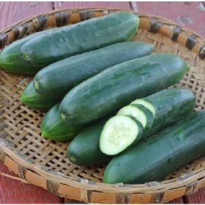 David’s Garden Seeds Pepino Rebanar Poinsett 8899 (Verde) 25 Semillas de reliquia sin OMG David’s Garden Seeds Pepino Rebanar Poinsett 8899 (Verde) 25 Semillas de reliquia sin OMG