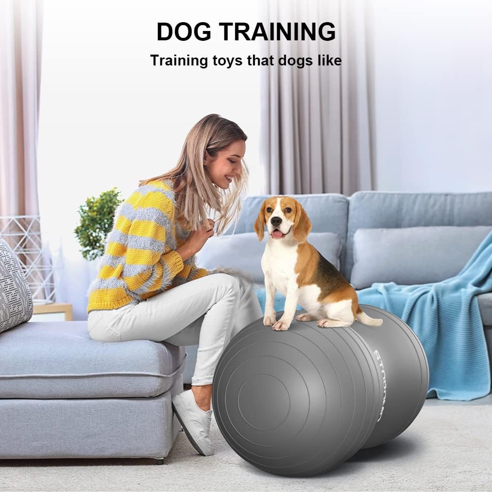 STOROMO Bola de maní, bola de ejercicio de maní, pelota de yoga, bola de embarazo, bola de estabilidad de maní, para terapia de niños, parto de