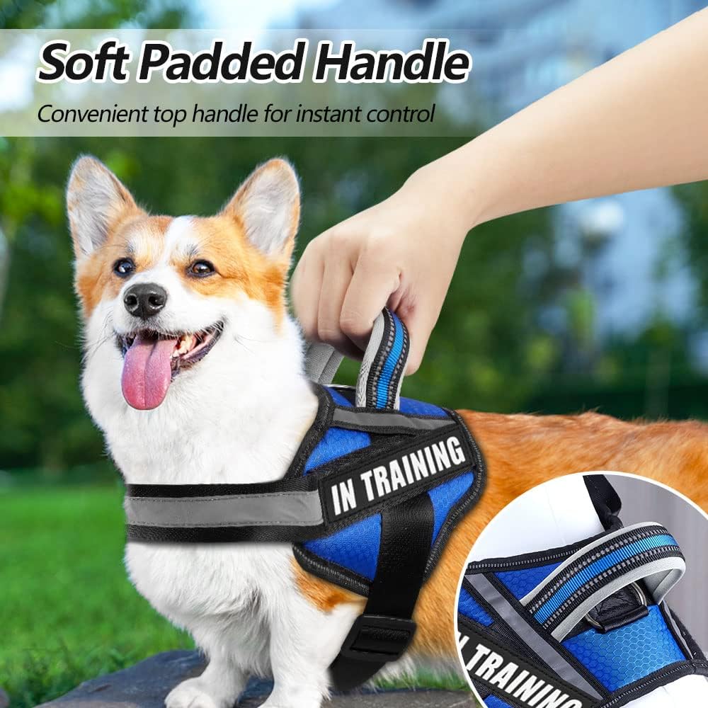 Animire in Training – Juego de arnés y parches para perro, arnés para perro con 8 parches para perros, chaleco reflectante con asa para perros