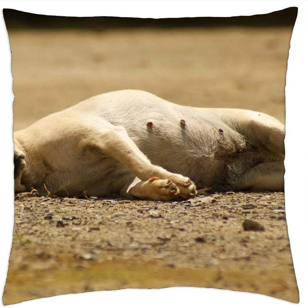 LESGAULEST Funda de almohada (16 x 16 pulgadas) – Variedad Landscapes Axis Coffee Quindio Colombia 1