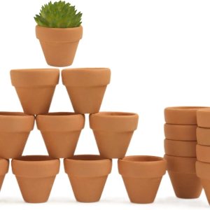 Mini macetas de terracota con agujeros de drenaje, maceta de cactus suculenta de 1.2 pulgadas, macetas pequeñas de arcilla para cactus pequeños Mini macetas de terracota con agujeros de drenaje, maceta de cactus suculenta de 1.2 pulgadas, macetas pequeñas de arcilla para cactus pequeños