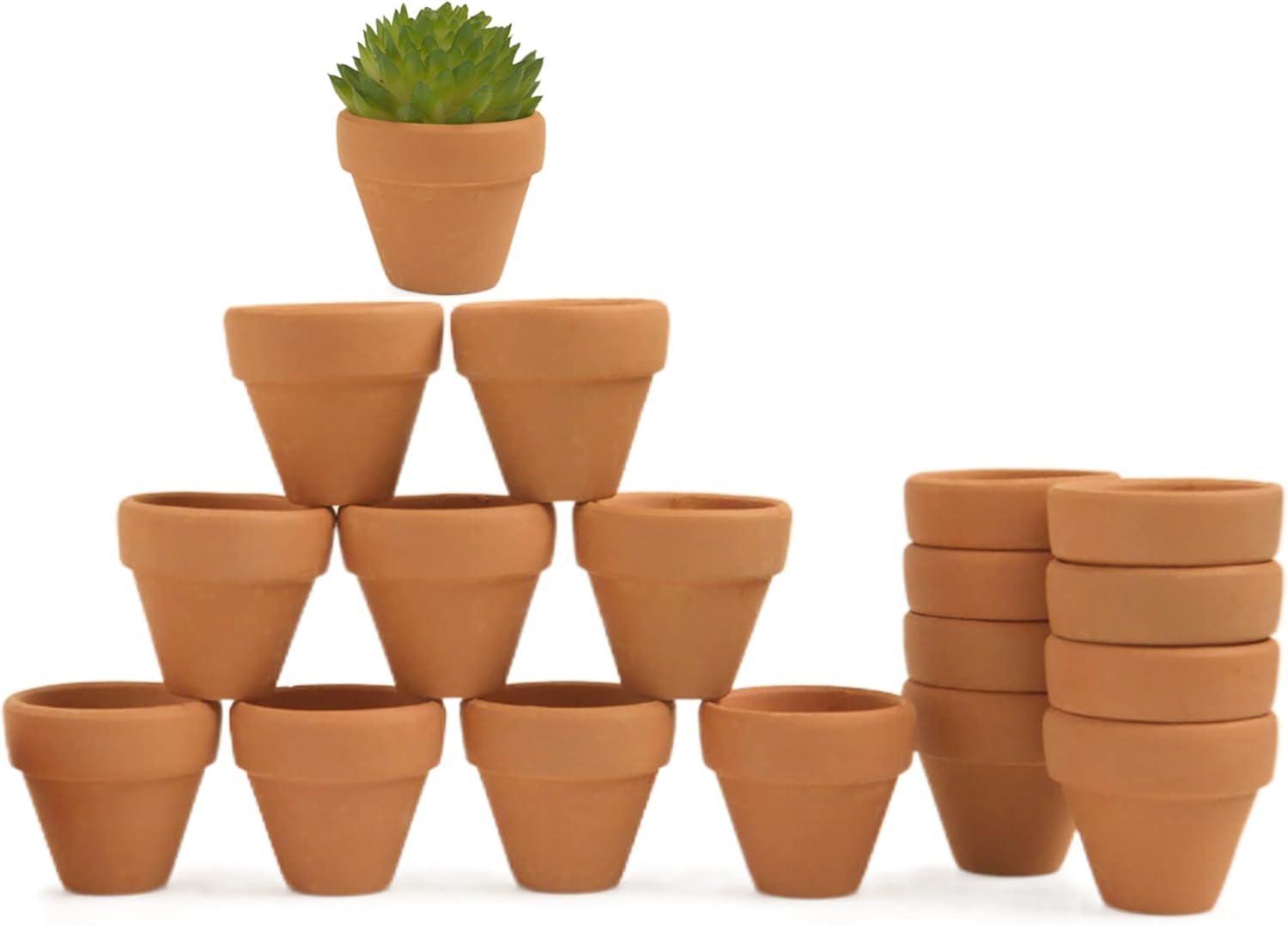 Mini macetas de terracota con agujeros de drenaje, maceta de cactus suculenta de 1.2 pulgadas, macetas pequeñas de arcilla para cactus pequeños