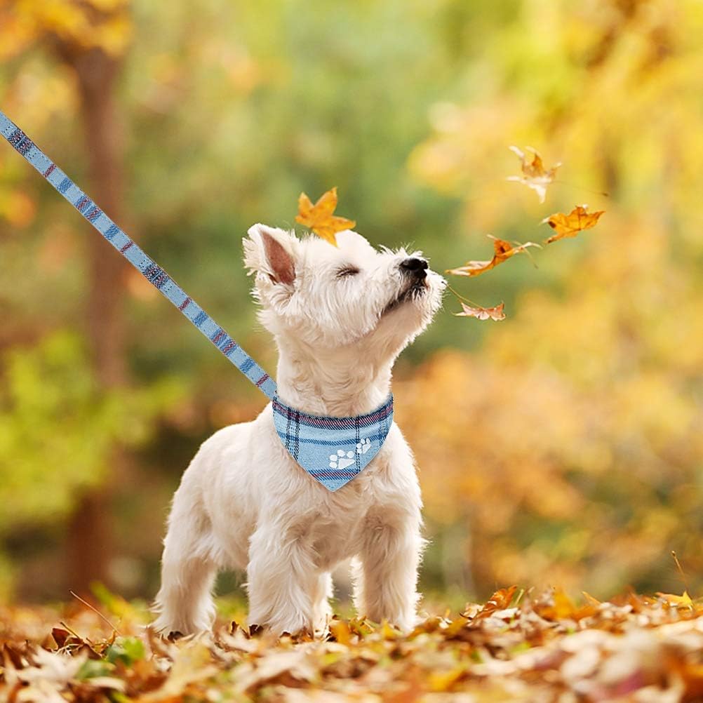 EXPAWLORER Juego de correa y collar para perro, paquete de 3 unidades bordadas con estampado de patas, collar de perro a cuadros y correa sin