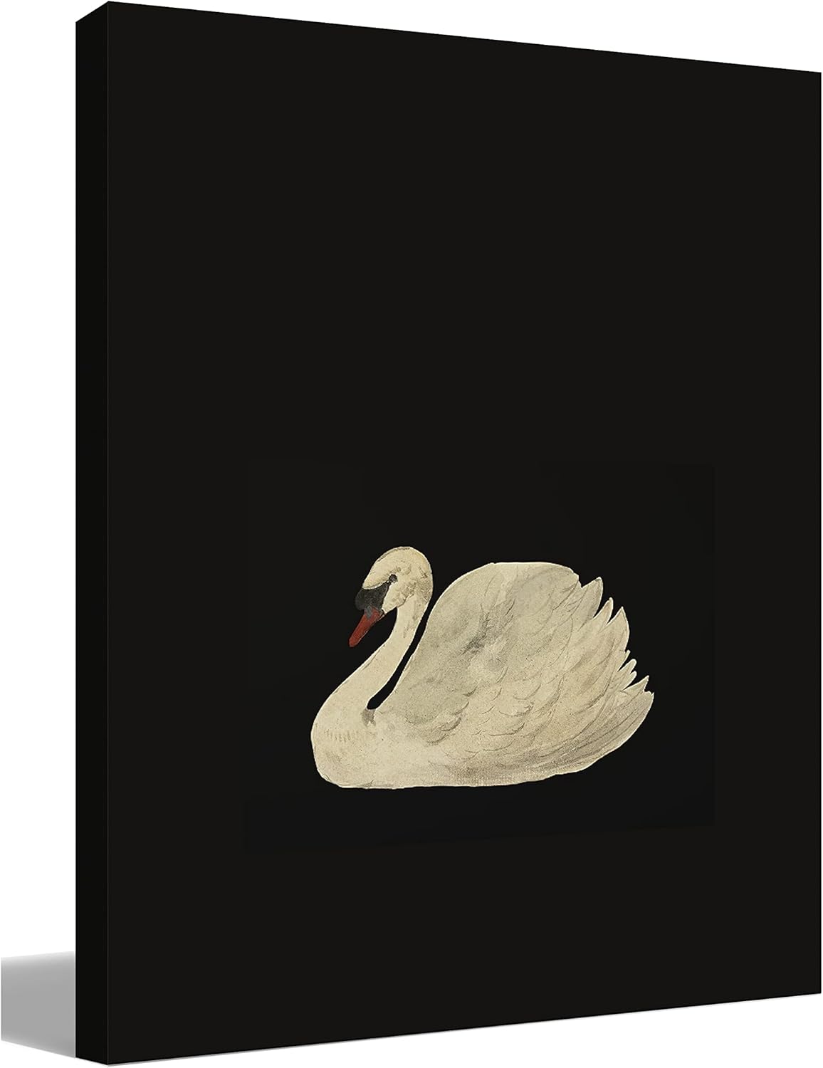 BIWSHA Pintura antigua de cisne sobre fondo negro, impresiones artísticas para pared, decoración para el hogar, cocina, dormitorio, sala de estar,
