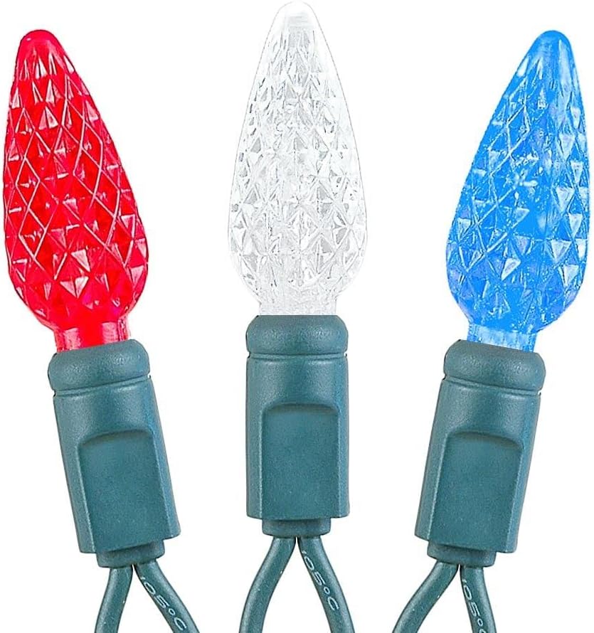 Novelty Lights – Mini juego de 70 luces C6 LED de Navidad, serie de luces de grado comercial para exteriores, cable verde, 24 pies