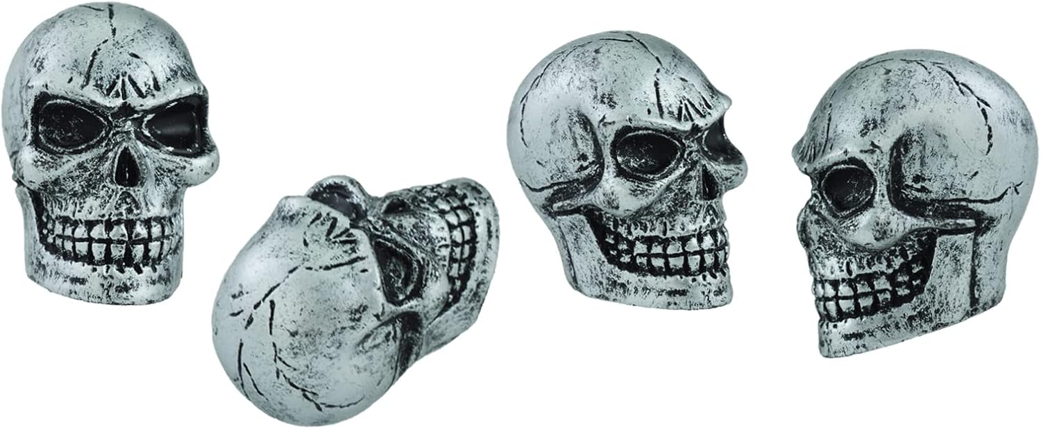 Tapas de llanta de neumático de automóvil con diseño de calavera para la mayoría de vehículos, bicicletas, motocicletas, color plateado