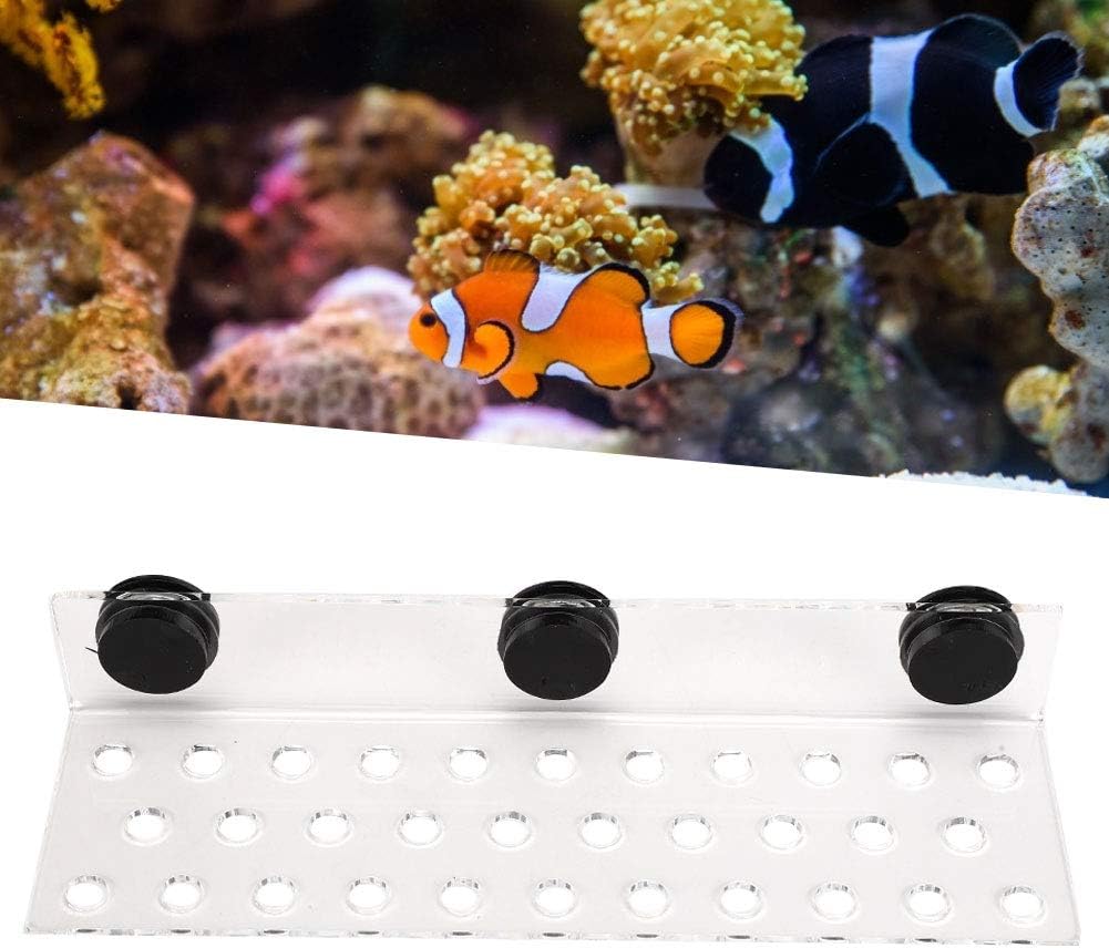 TOPINCN Coral Frag Rack Acrílico Magnético Coral Frag Soporte Soporte Coral SPS Botón Base para acuario de pecera (32 agujeros)