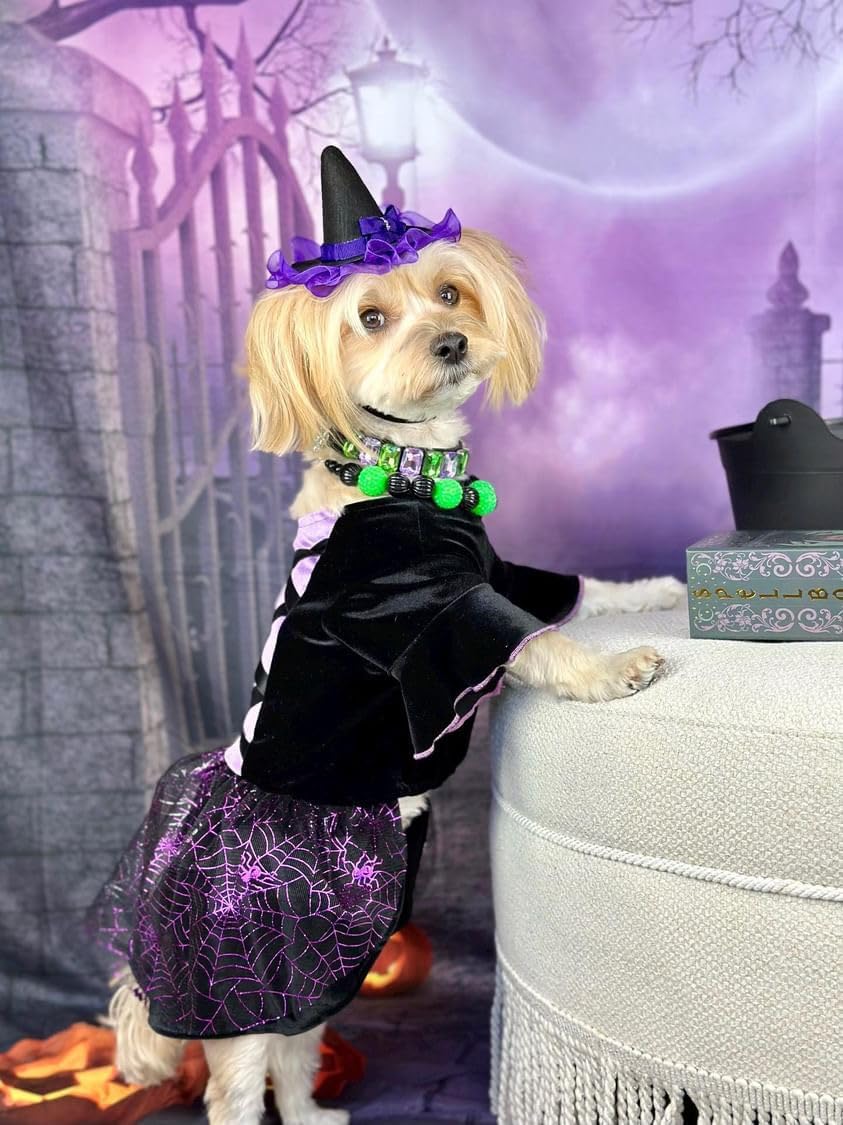 Fitwarm Disfraz de bruja de Halloween para perro, ropa divertida para perros pequeños, vestido gótico para mascotas, traje para gato, terciopelo