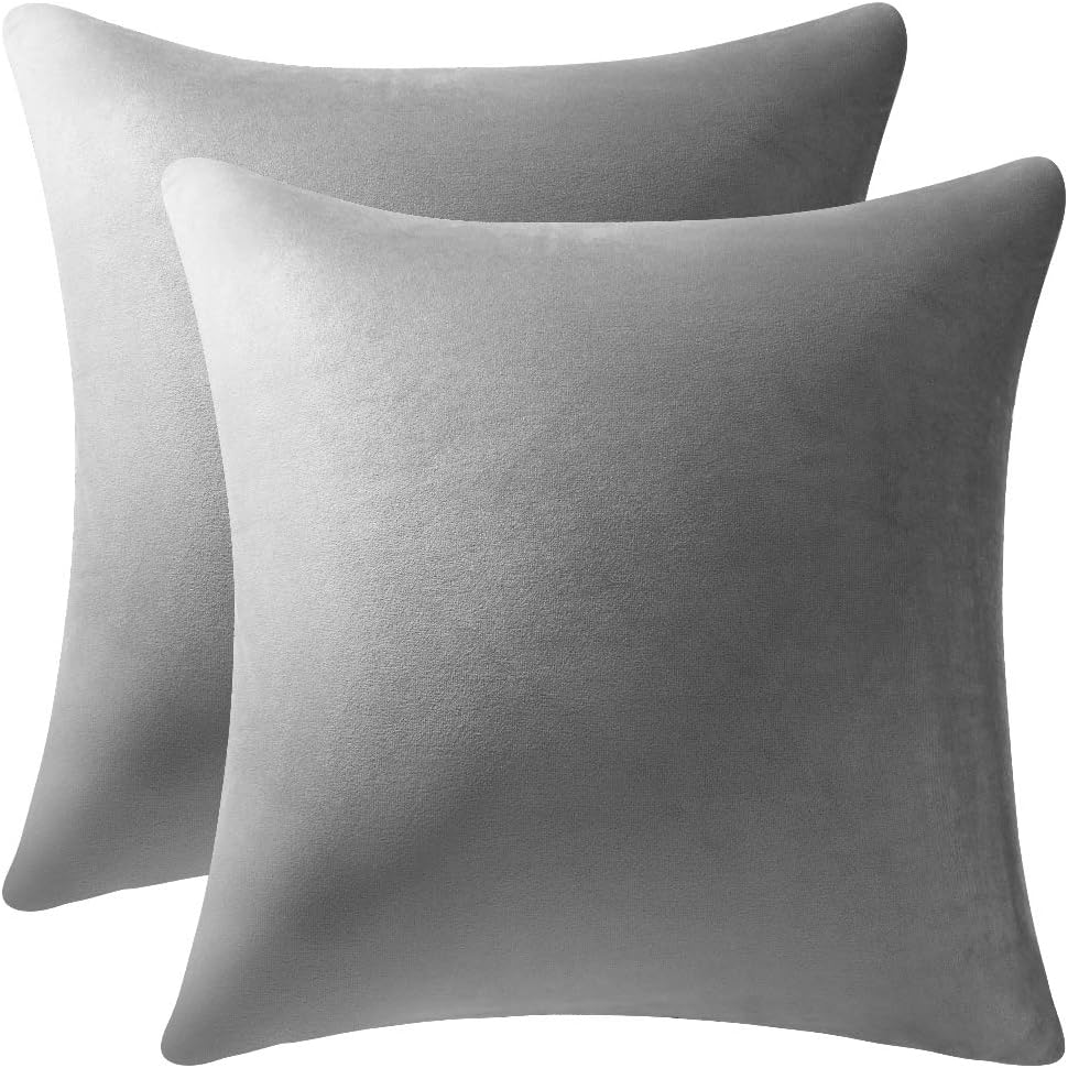 Dezene – 2 fundas decorativas de terciopelo para almohada